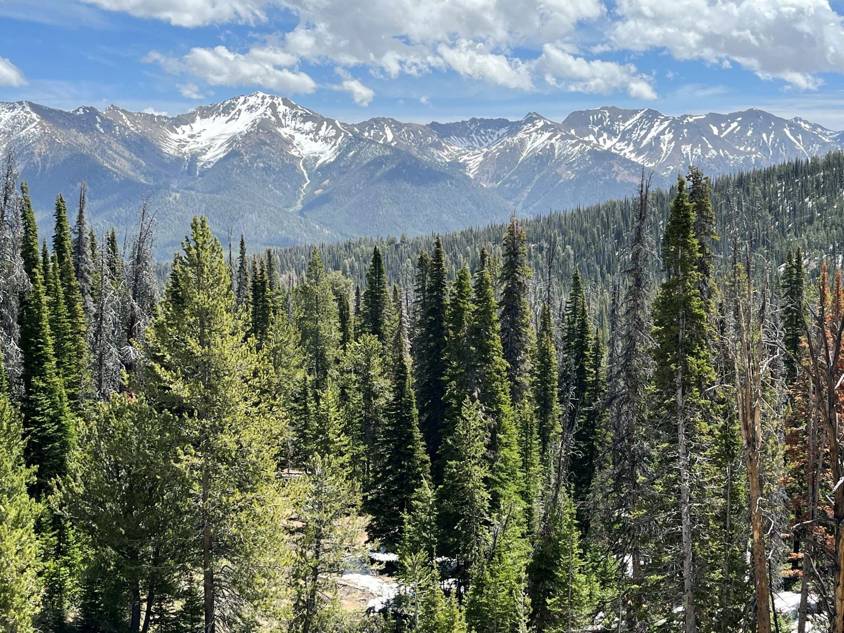 Dispersed Camping in Sawtooth National Recreation Area